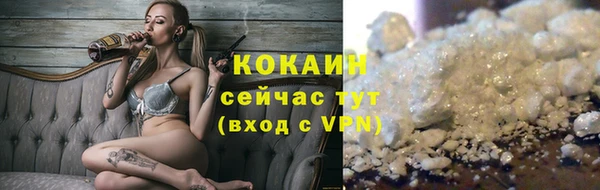 стафф Алзамай