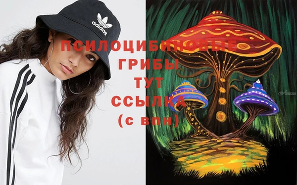 стафф Алзамай