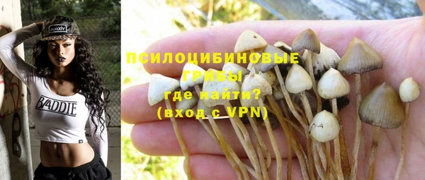 стафф Алзамай